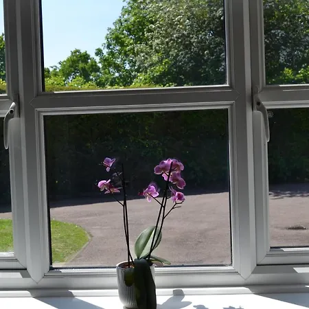 Beautiful Studio In Ely Exterior photo